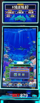 A Experiência Imersiva dos Cassinos Ao Vivo no bet879